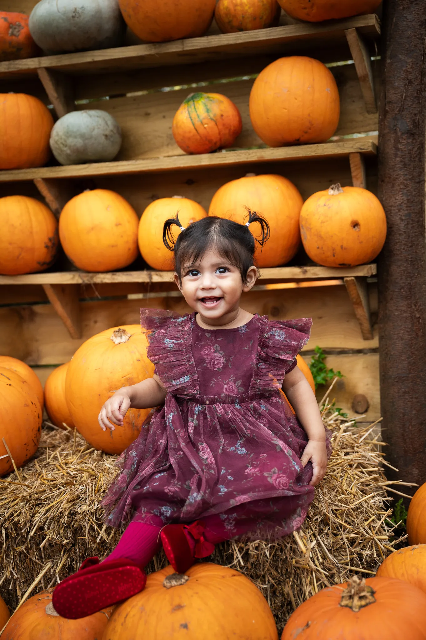 Child in a purple dress sitting on hay with pumpkins around.
