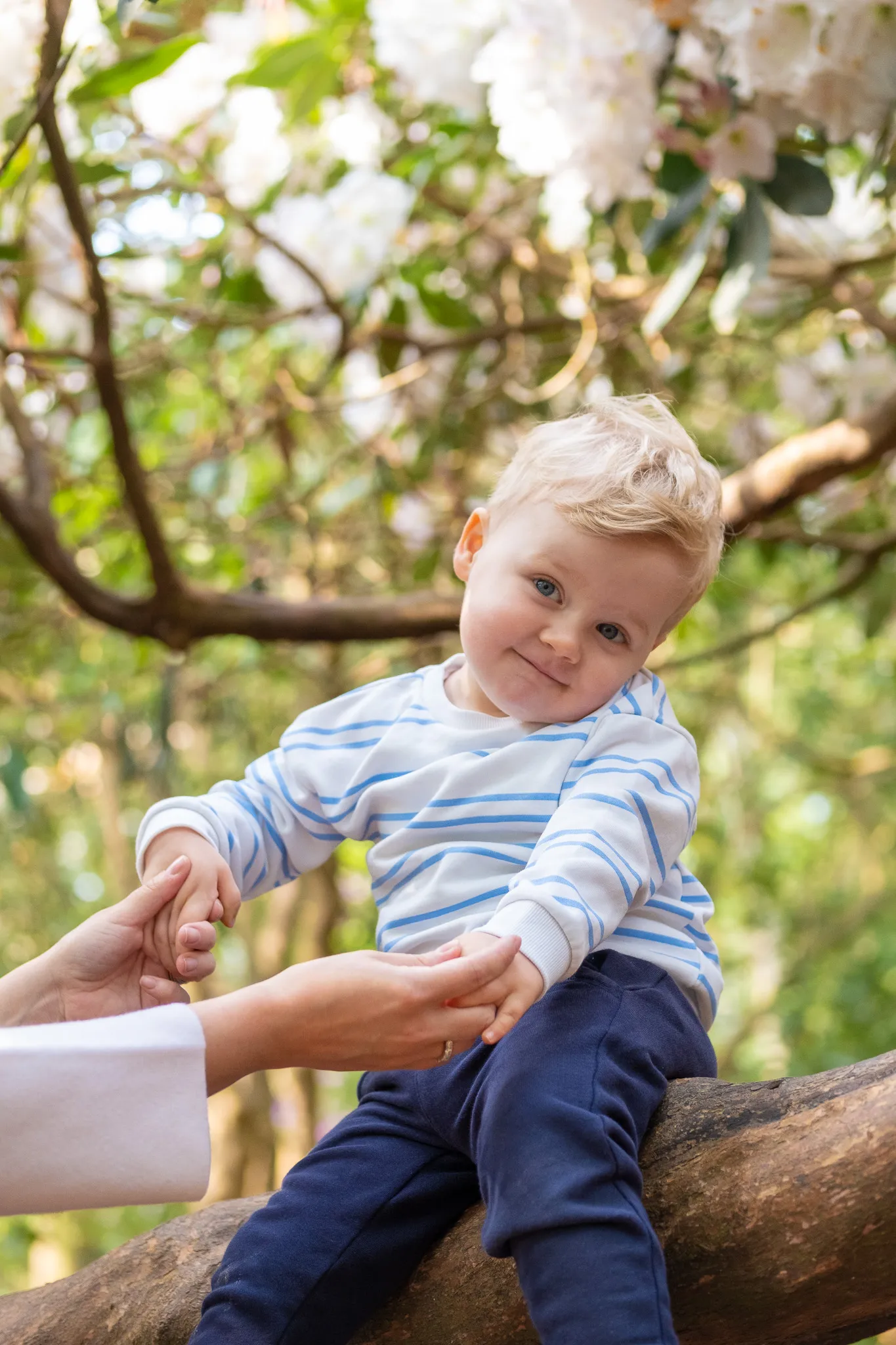 Little blonde boy sitting on a tree, while his mum is holding his hands, smiling for a photoshoot