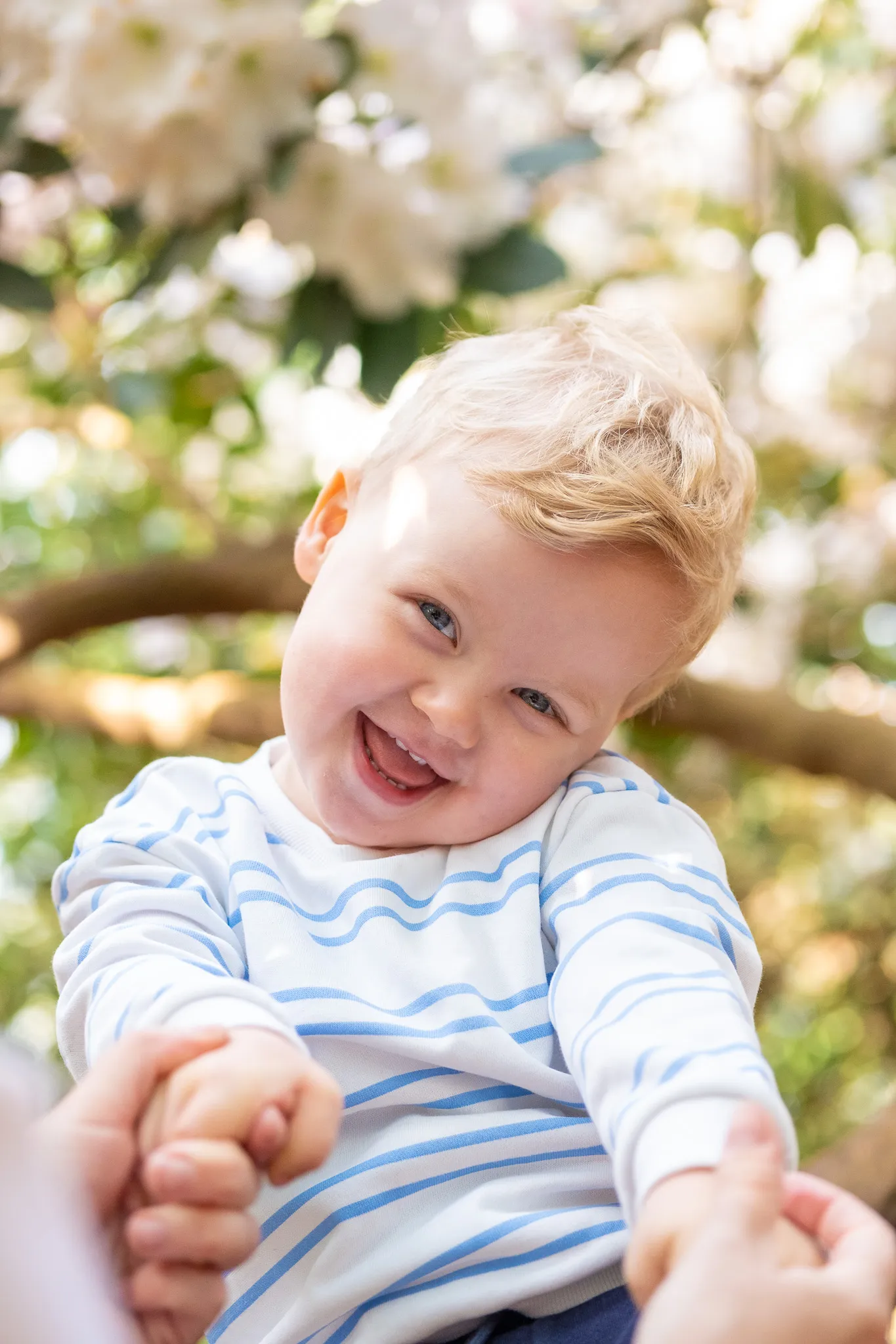Little blonde boy sitting on a tree, while his mum is holding his hands, smiling for a photoshoot