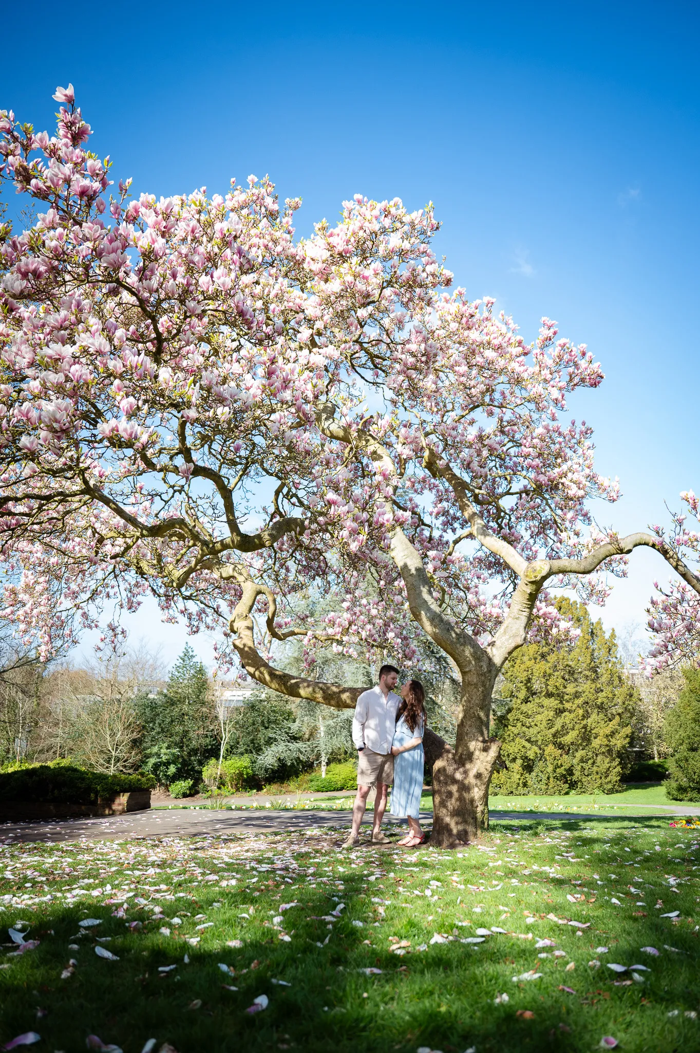 Maternity photo session in Richmond Terrace Gardens, London, featuring a glowing expectant mother surrounded by lush greenery