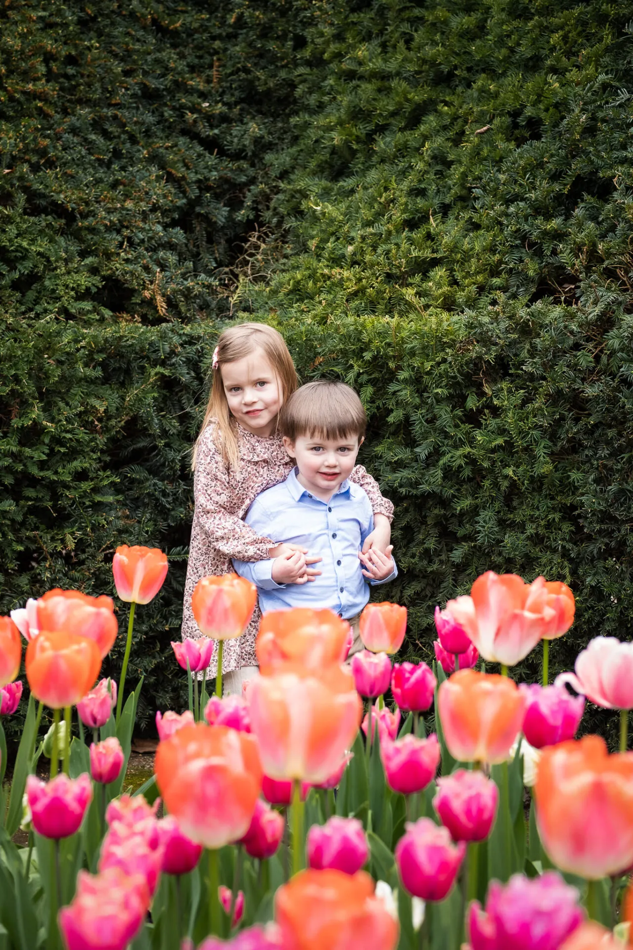 Two toddlers, brother and sister with tulips flower, photo session in Holland park, family outdoor photoshoot from Mellsnap