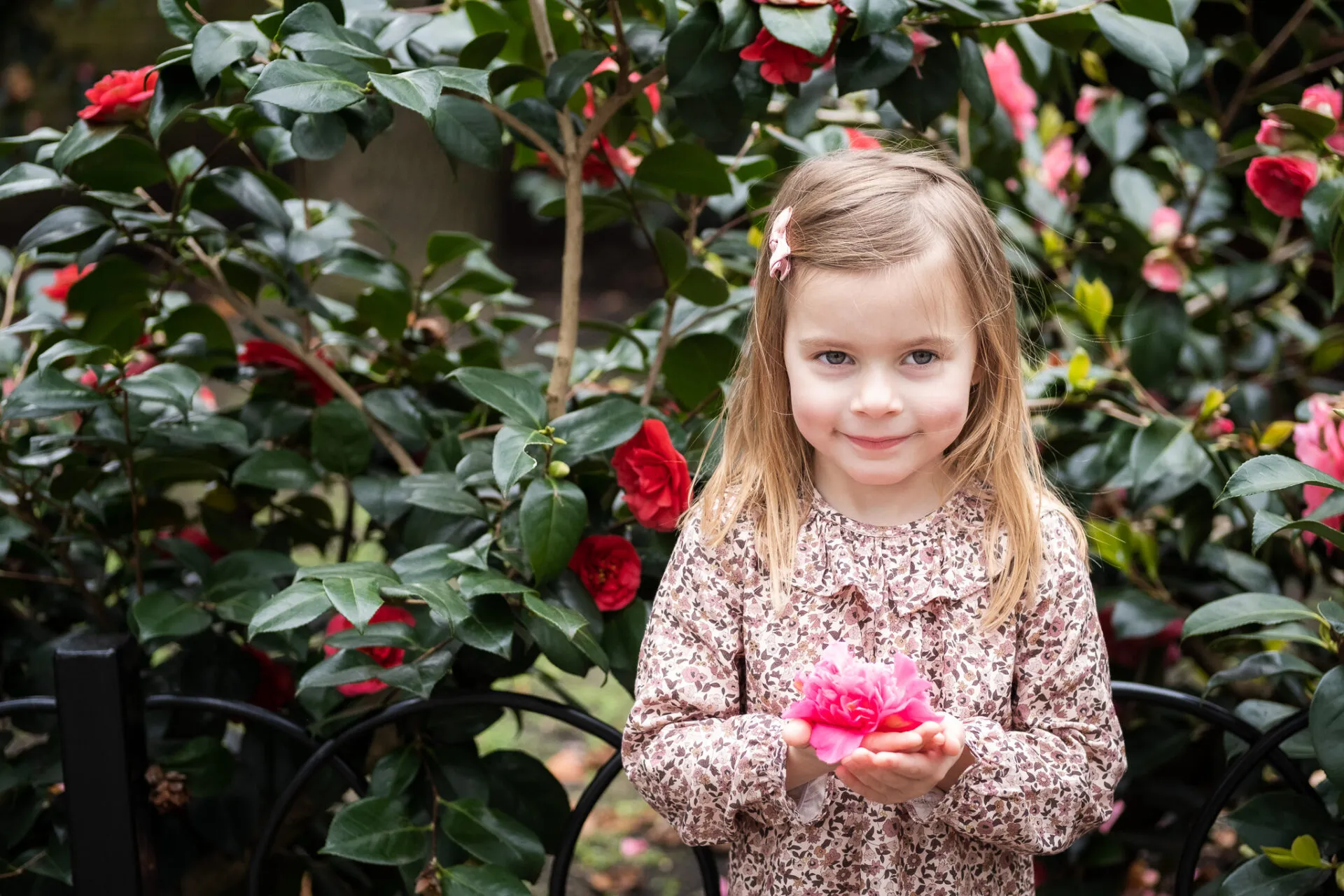 Little blonde girl with camellia flower for a family photoshoot from Mellsnap