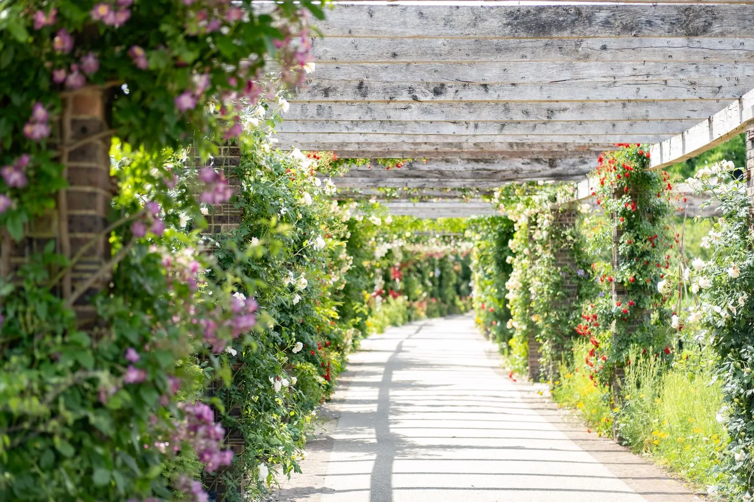Best Parks in London for Family Photoshoot