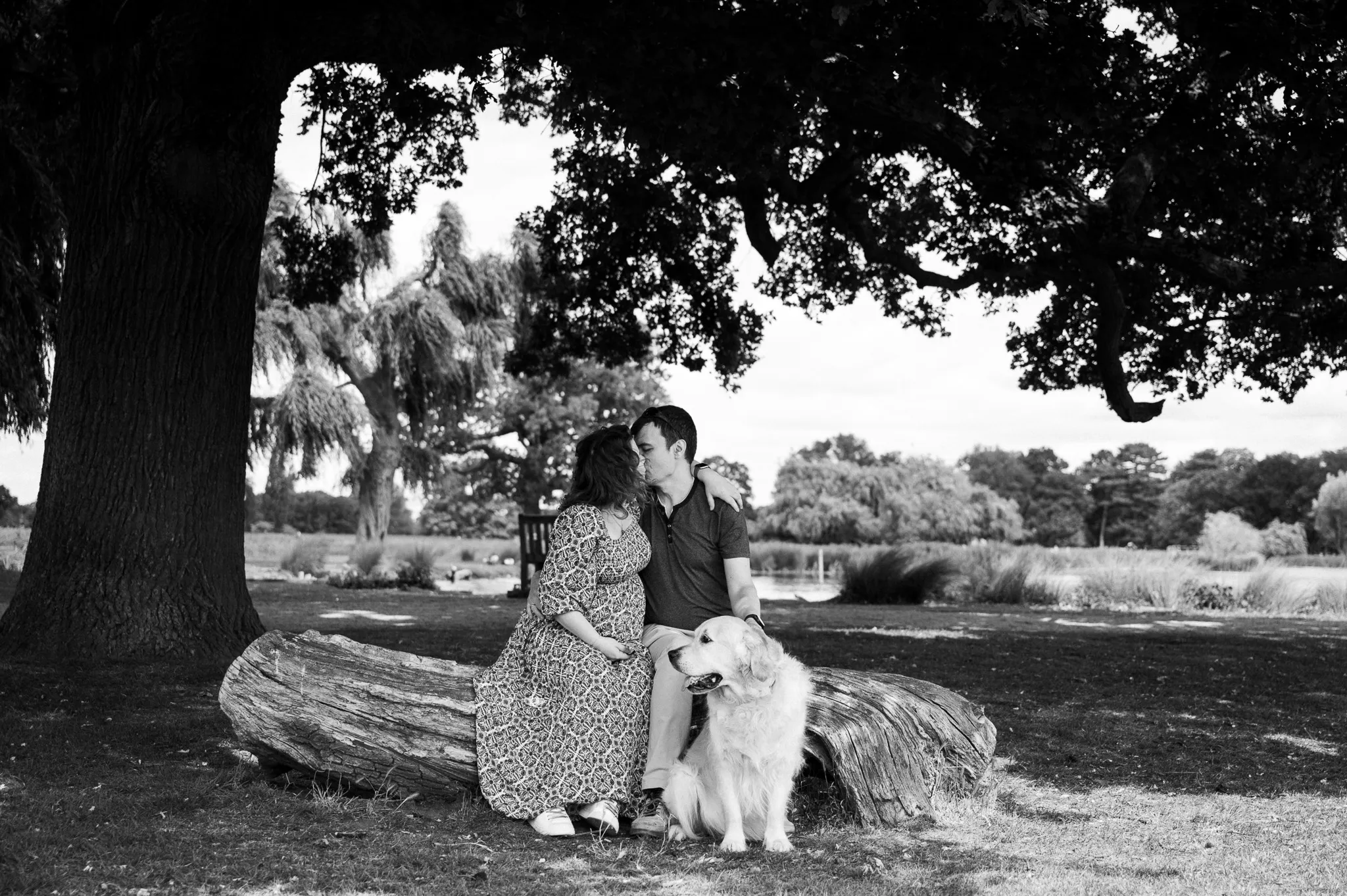 Black and white photo of an expecting couple sitting on a log with their golden retriever