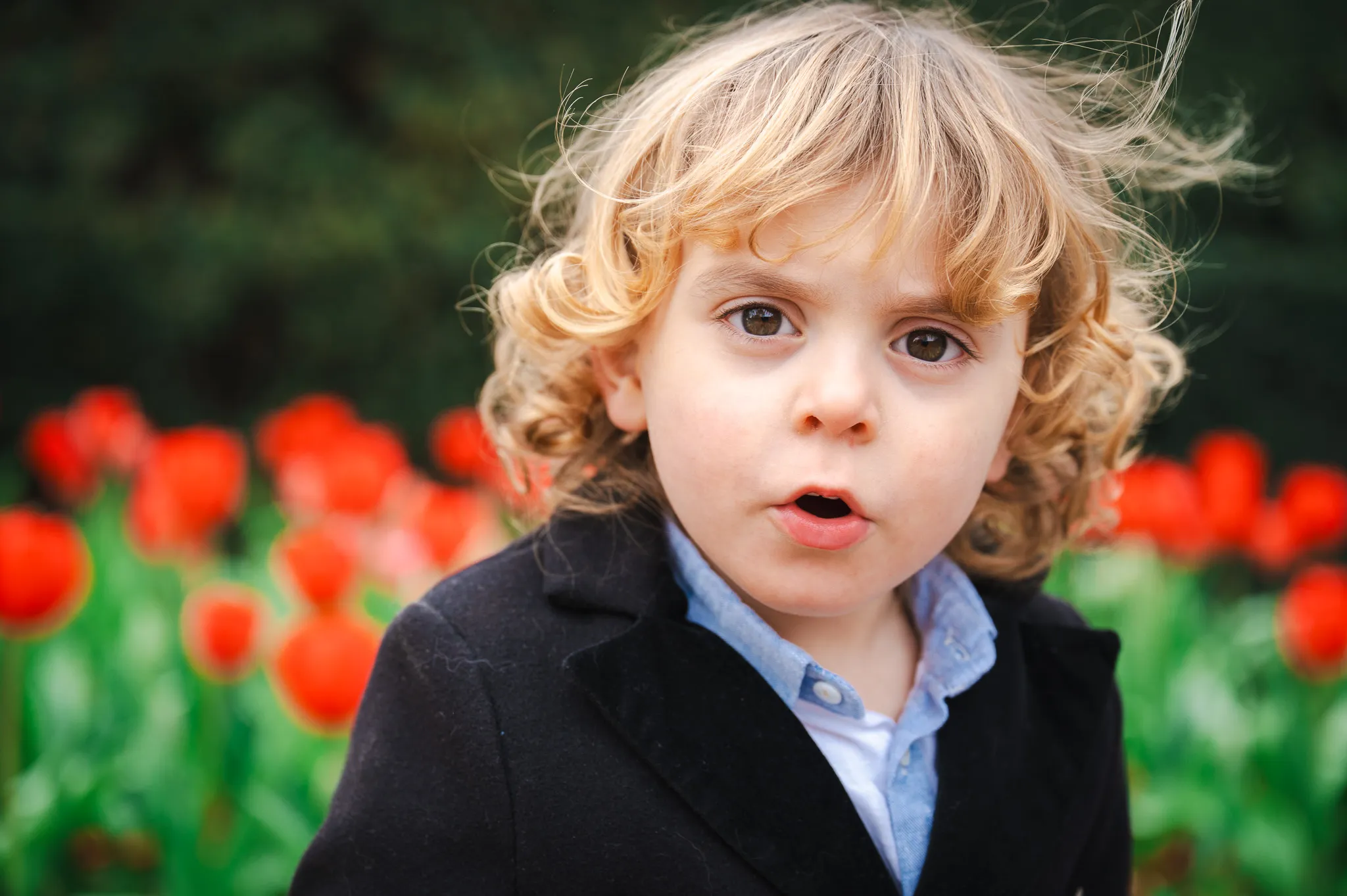 Surprised curly-haired boy in front of red tulips